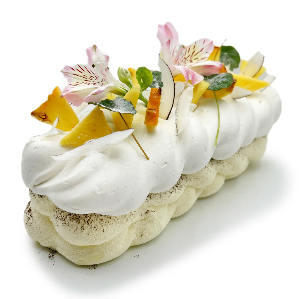 Pavlovas Joël MAIER à Lyon