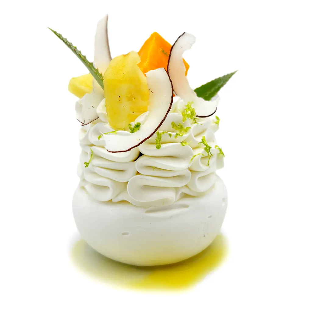 Pavlovas Joël MAIER à Lyon